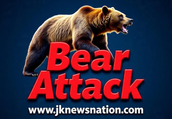 IMG-20251011-WA0520(2)