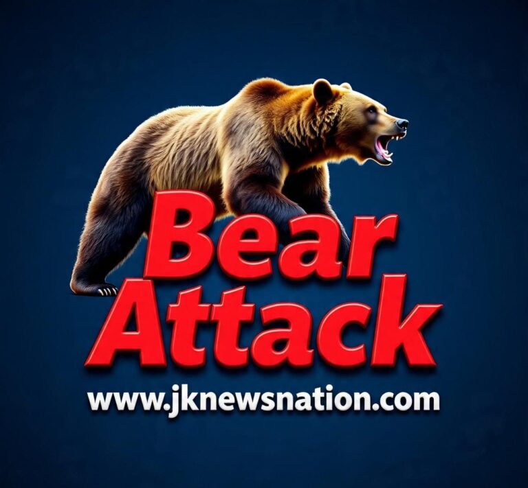 IMG-20251011-WA0520(2)