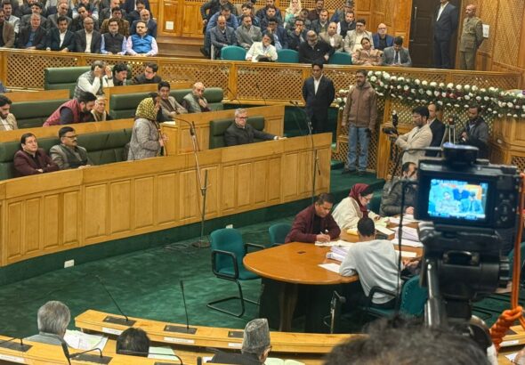 IMG-20251031-WA0230(1)