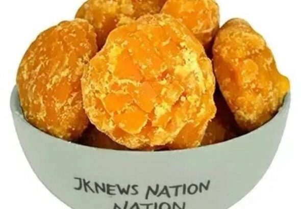 IMG-20251107-WA0417(2)