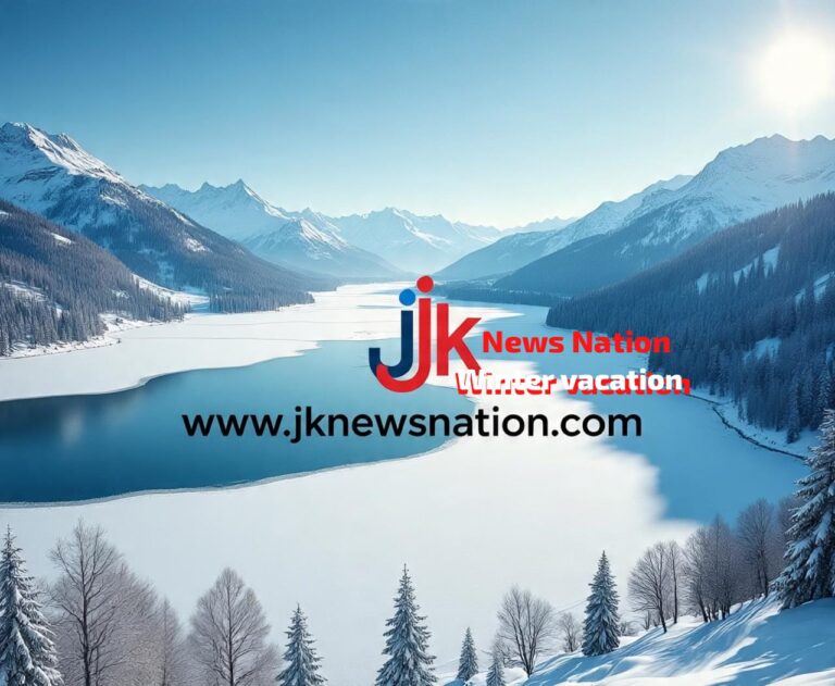 IMG-20251119-WA0359(1)