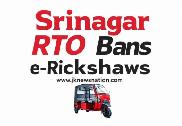 IMG-20251120-WA0217(1)