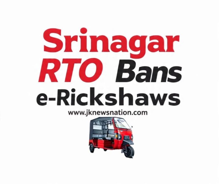 IMG-20251120-WA0217(1)