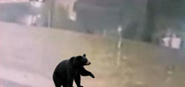 IMG-20251127-WA0107(1)