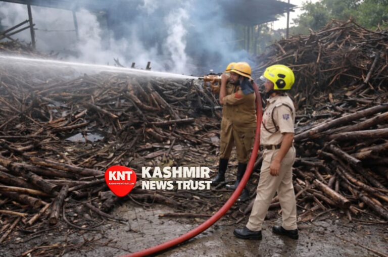 IMG-20260403-WA0113(1)