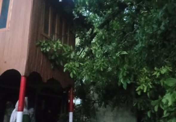 IMG-20260625-WA0170