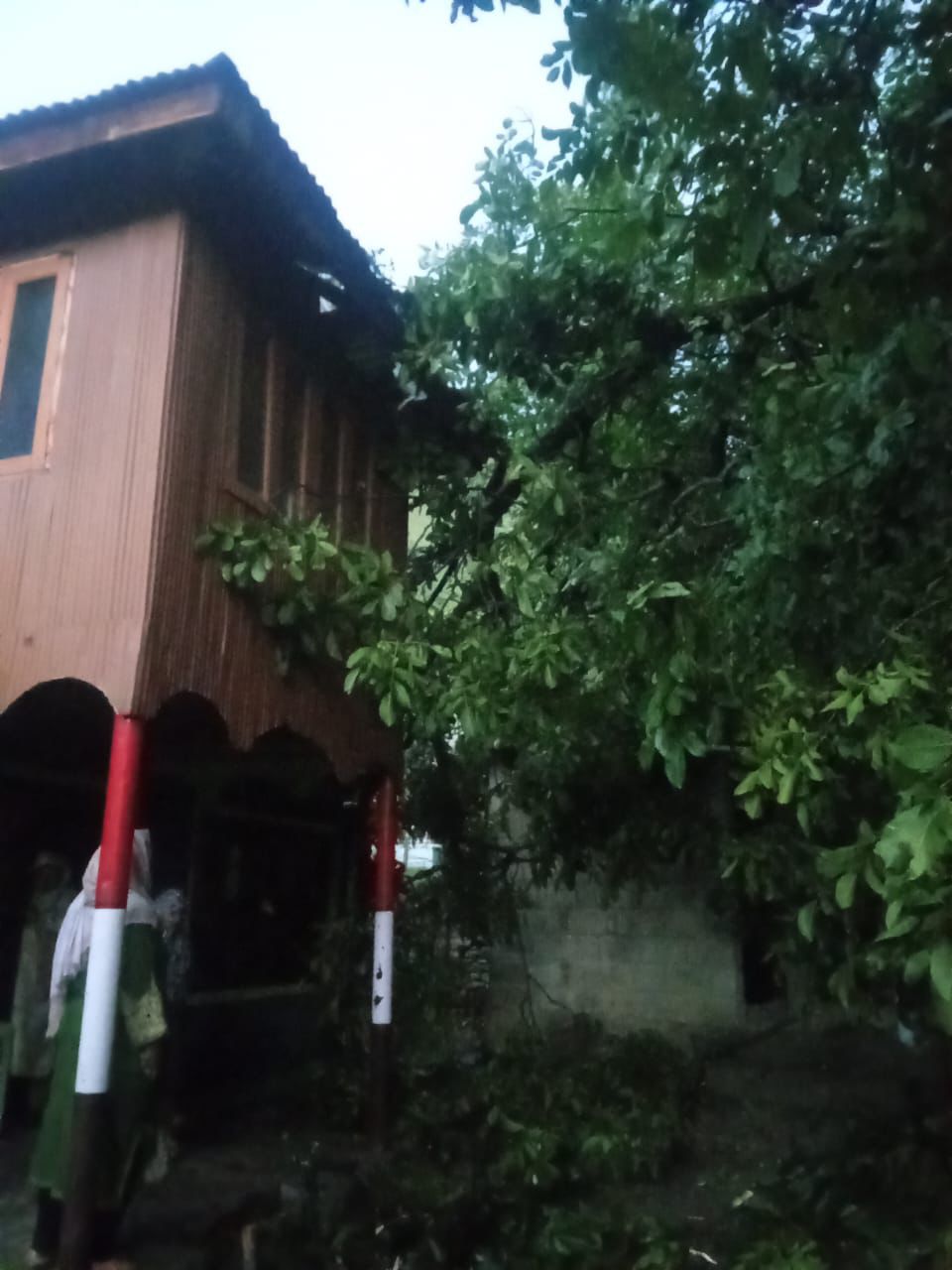 IMG-20260625-WA0170